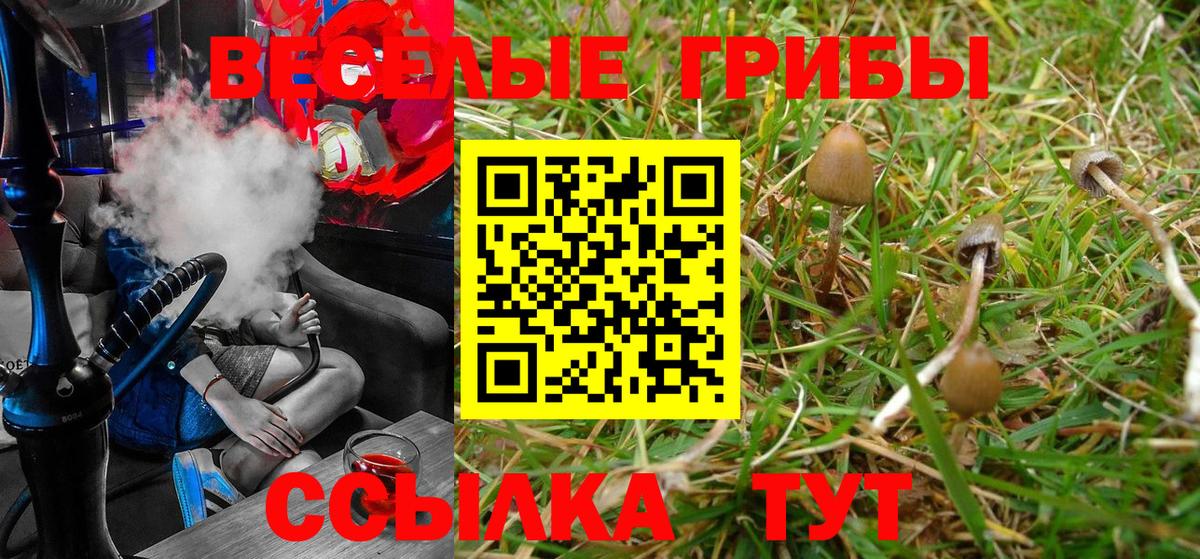 Псилоцибиновые грибы MAGIC MUSHROOMS  Псилоцибиновые грибы ЛСД  Лениногорск  Вход с VPN 